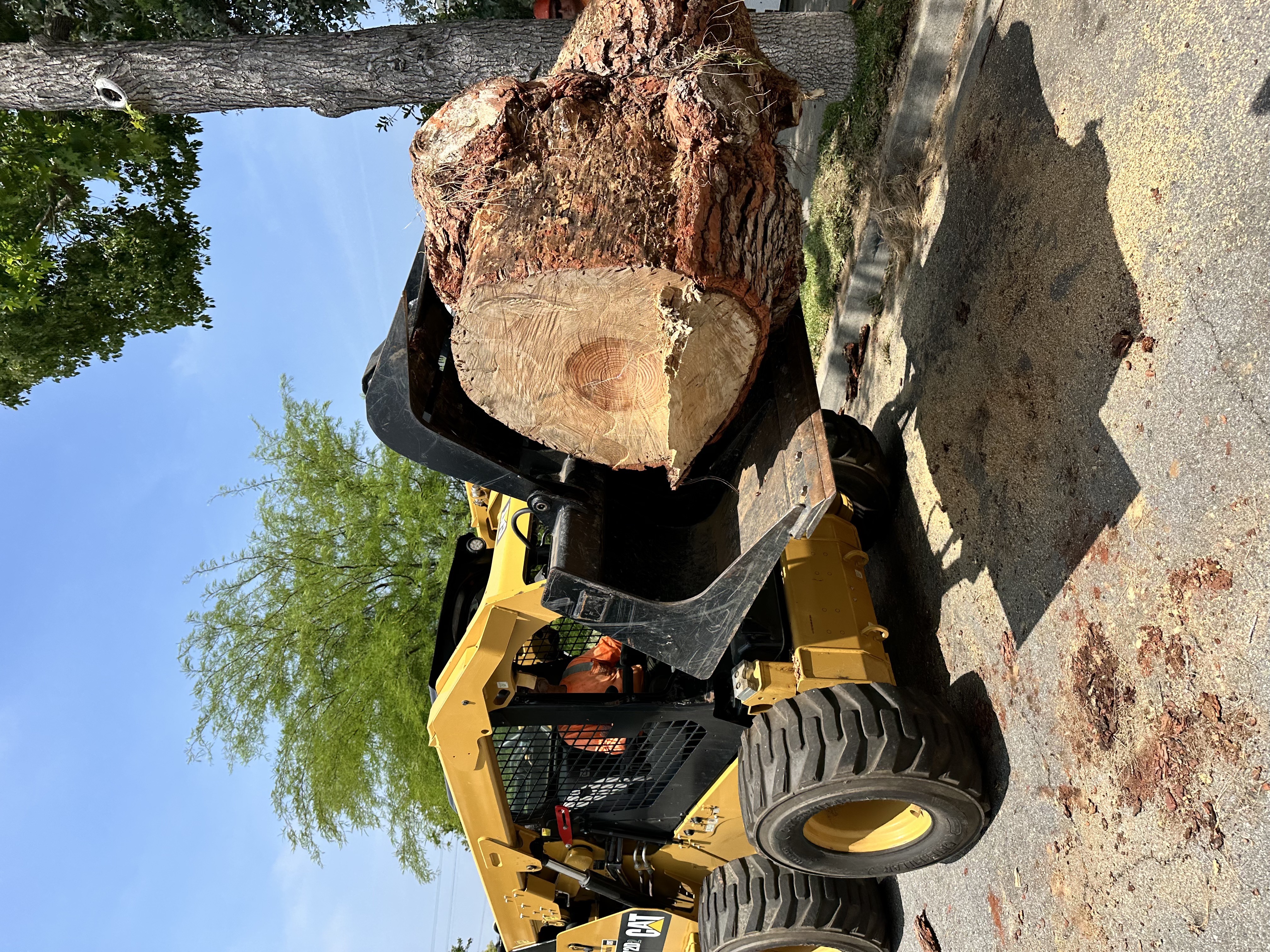 Stump Grinding & Removal
