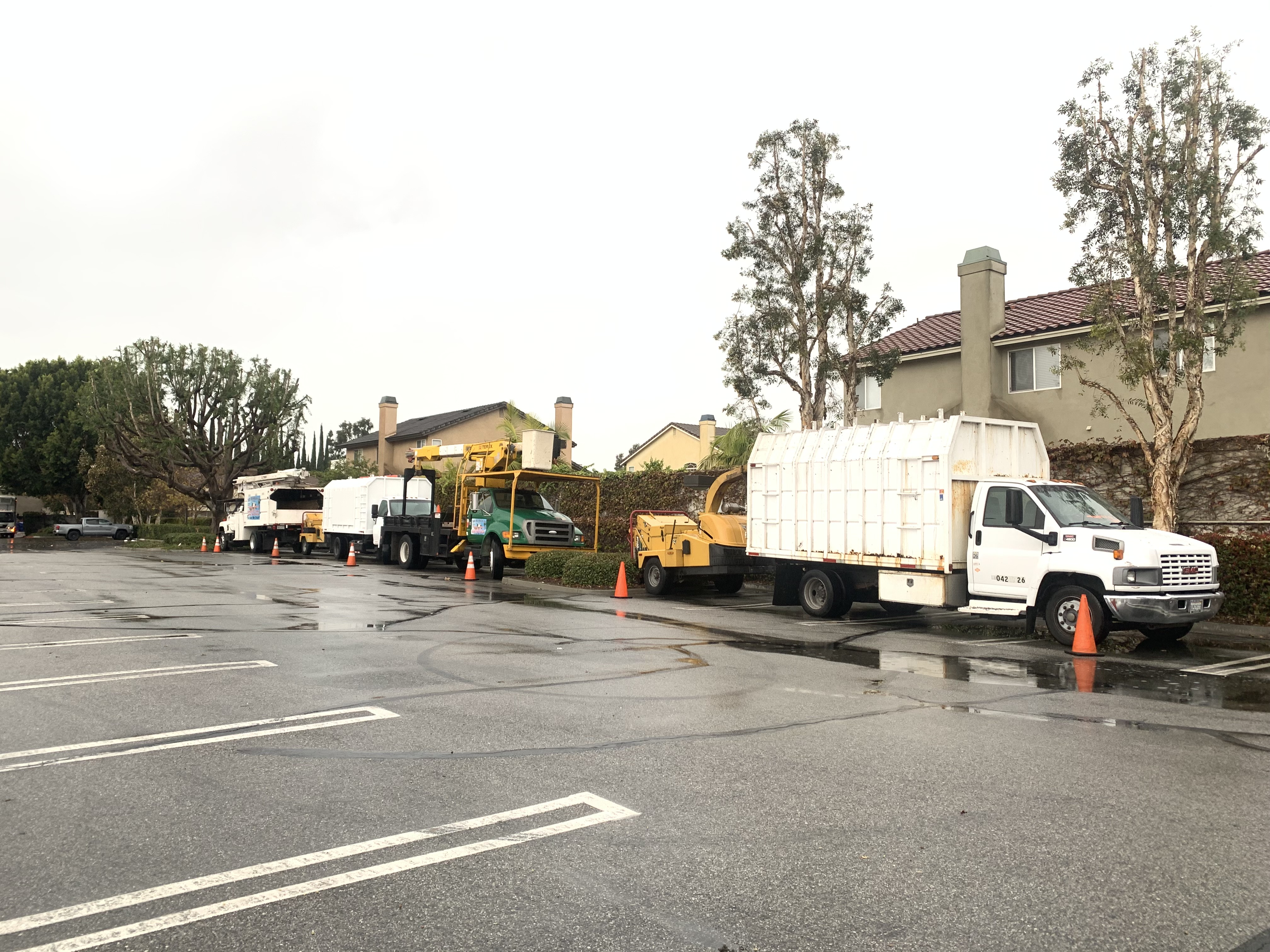 Tiger Tree Services bucket truck on job site