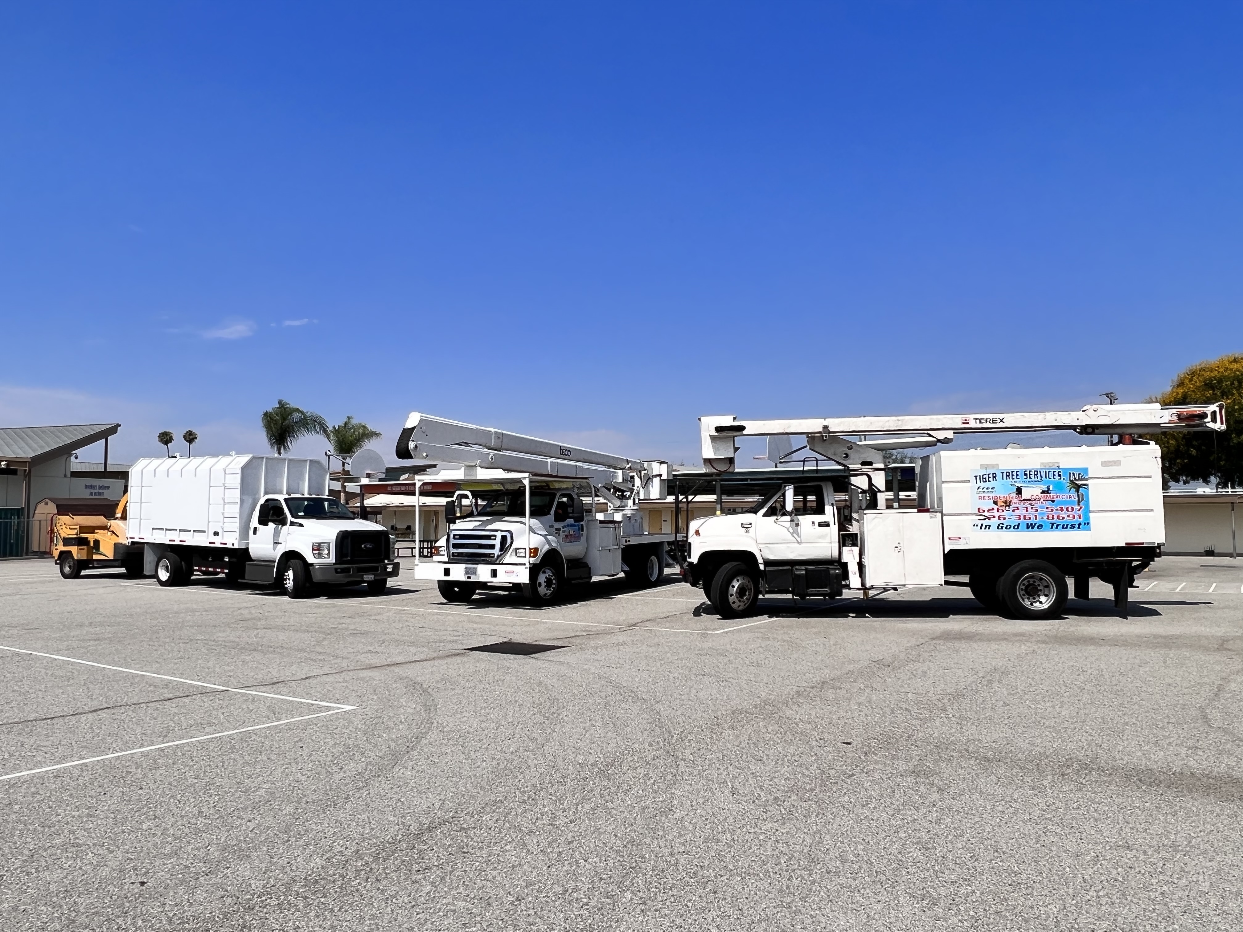 Tiger Tree Services fleet vehicle on site