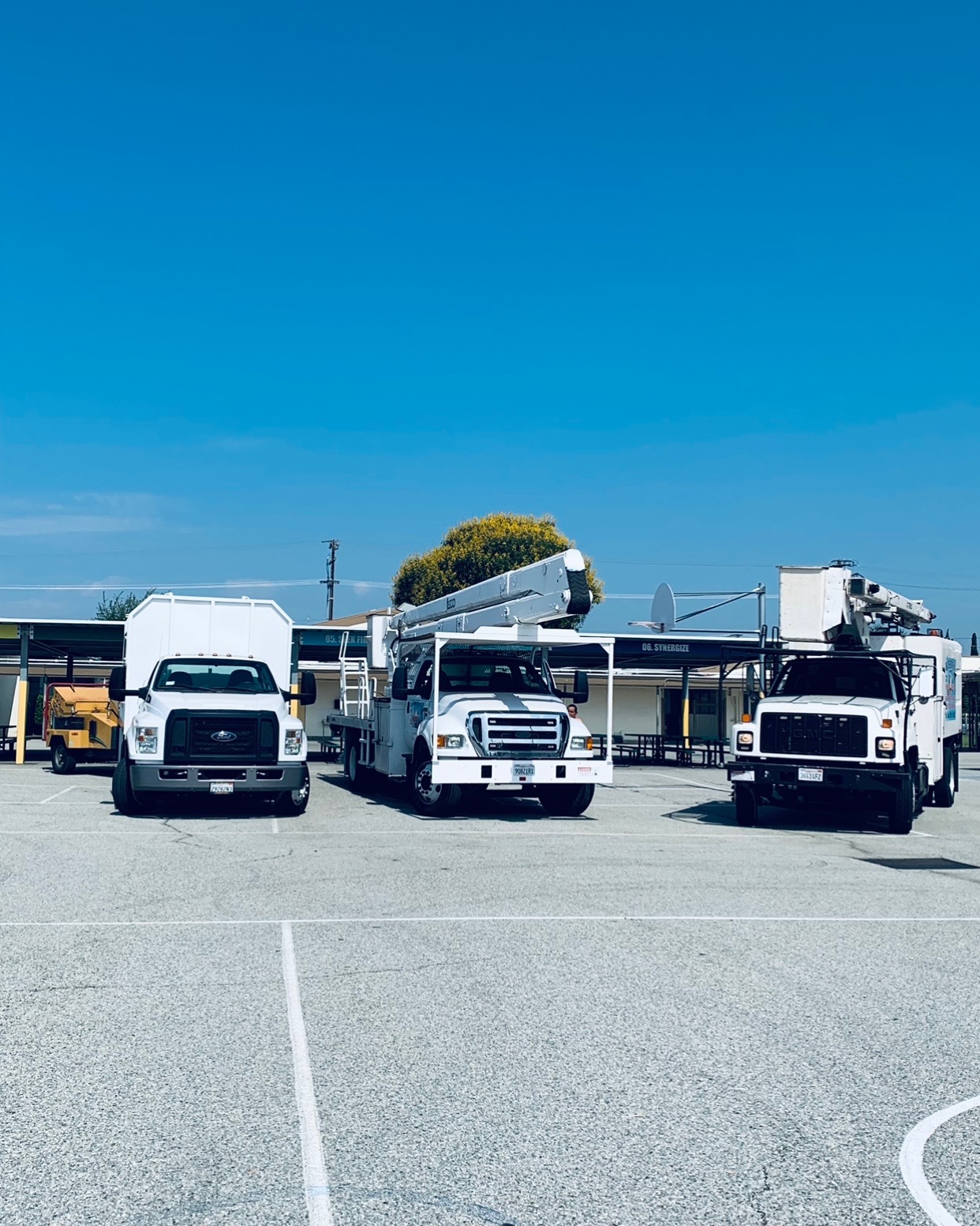 Tiger Tree Services equipment convoy