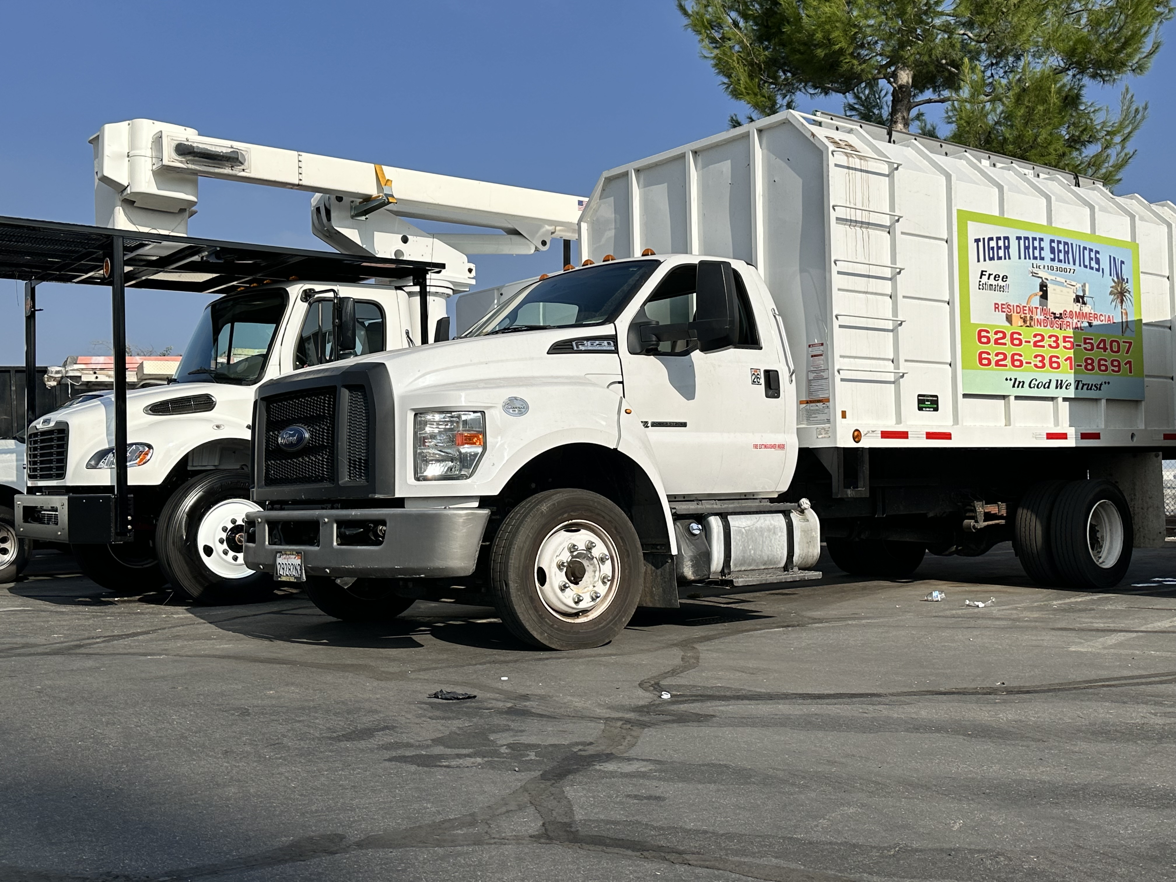 Tiger Tree Services trucks lined up on street