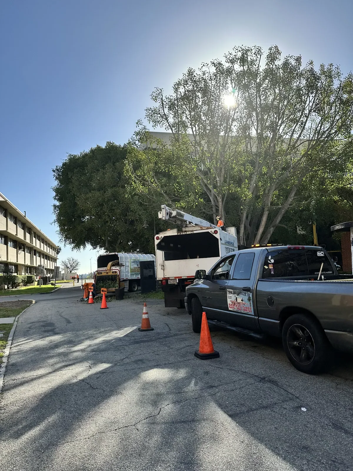 Cal State LA (CSULA)