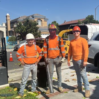 Tiger Tree Services crew cleaning up tree trimmings and wood chips after a residential tree pruning job in California