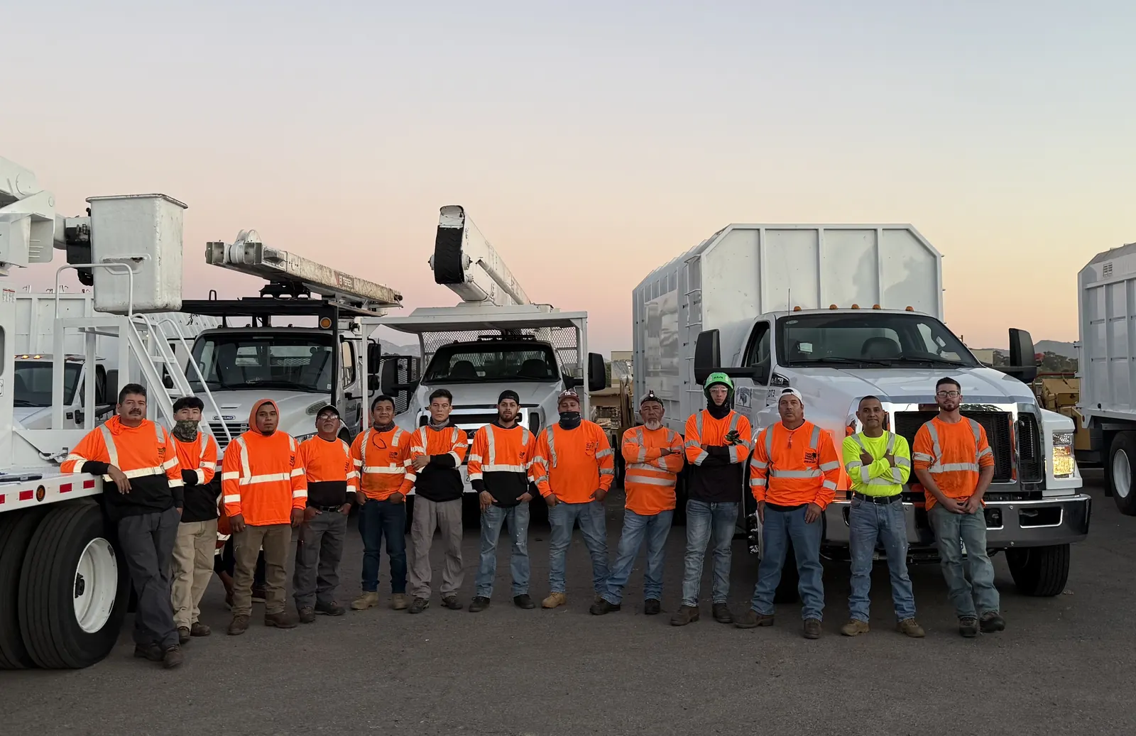 Tiger Tree Services team standing in front of their fleet of bucket trucks
